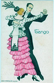 Vienna Collection: Elegant couple in evening dress dancing the tango