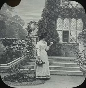 Picks Collection: Elegant lady in a grand country garden picks roses