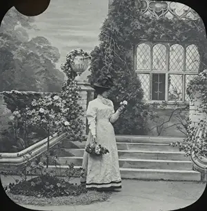 Picks Prints: Elegant lady in a grand country garden picks roses