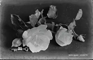 Delicate Prints: Elegant Roses with Key