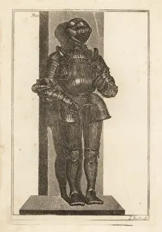 Elegant suit of fluted armour brought by Lord