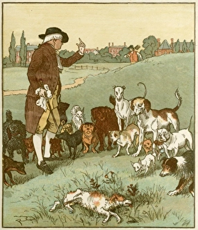 Images Dated 25th July 2011: Elegy on a Mad Dog