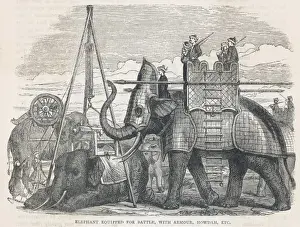 Equipped Prints: Elephant in Armour