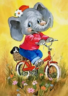 Images Dated 13th September 2006: Elephant on a bicycle
