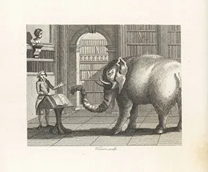 Wisdom Prints: The Elephant and the Bookseller