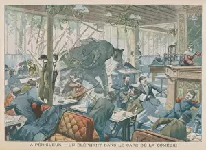 Invades Prints: Elephant / Cafe 1905