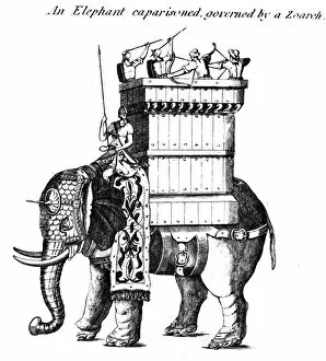 An Elephant caparisoned, governed by a Zoarch