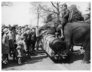Elephant & Children