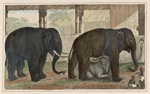 Indian Mother and Child