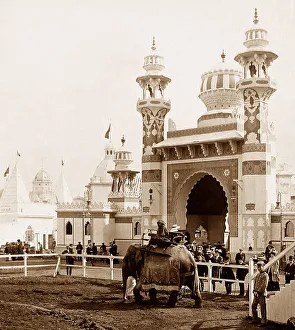 Elephant, Franco British White City Exhibition
