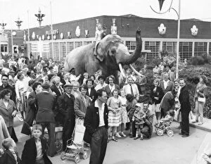 Makers Collection: An elephant with holidaymakers at Butlins, Filey