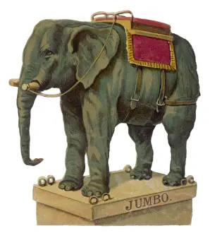 Elephant / Jumbo Scrap