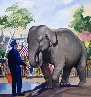 Images Dated 18th August 2006: Elephant Keeper