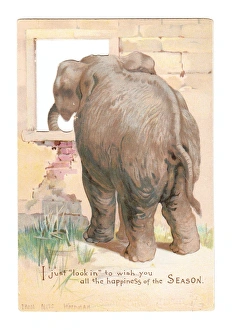 Images Dated 14th December 2015: Elephant looking through window on a cutout Christmas card