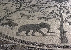 Elephant Mosaic at Volubilis