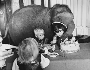 Crashes Prints: Elephant at a Party