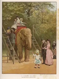 Elephant Ride