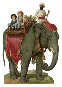 Elephant Ride