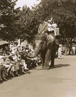 Elephant ride, Zoological Gardens, Regents Park, London