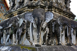 Images Dated 26th November 2012: Elephant Statue Chedi, Wat Chiang Man temple, Chiang Mai