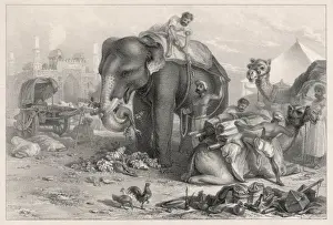 Elephant Unloads Baggage