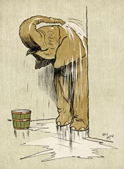 Bucket Collection: Elephant Washing Aldin