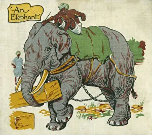 Images Dated 2nd February 2021: Elephant at Work