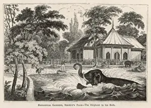 C1840 Prints: Elephants Bathing C1840