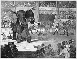 Turns Prints: Elephants / Circus Lorch