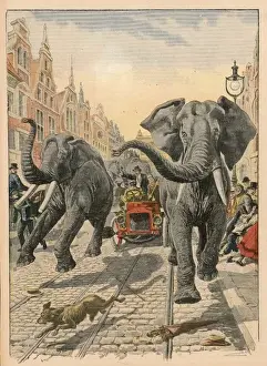 Pursued Prints: Elephants at Hamburg