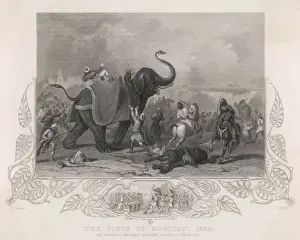 Elephants / Siege Mooltan
