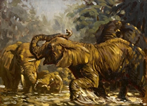 Images Dated 21st December 2011: Elephants in the water