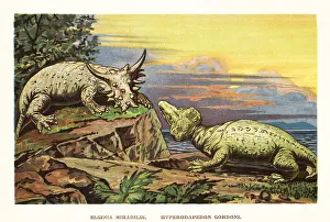 Elginia mirabilis (left), Hyperodapedon gordoni (right)