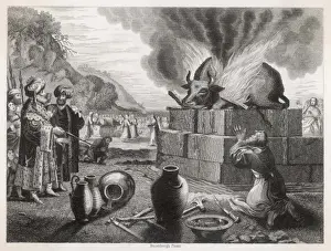 Elijah Prints: Elijah Burns a Cow