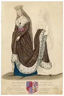 Blonde Prints: Elizabeth Woodville