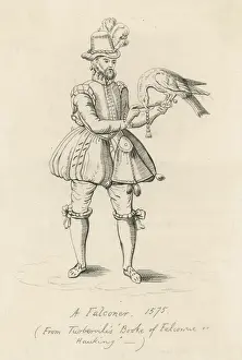 Hawking Prints: Elizabethan Falconer