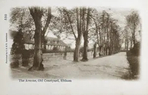 Eltham Prints: Eltham, London - The Avenue - Old Courtyard