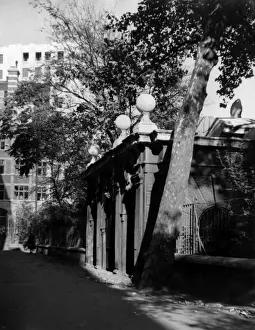 Embankment Gardens