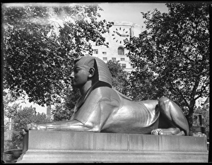 Cleopatras Collection: Embankment Sphinx