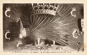 12th Collection: Emblem of Louis XII