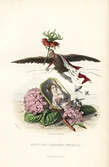 Whimsy Prints: Emblematic illustration of hortensia and crown