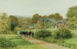 Emery Prints: Emery Down, New Forest, Hampshire