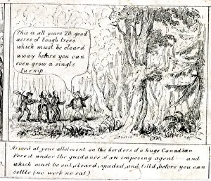 Chop Gallery: Emigration - Arrival in Canadian Forest