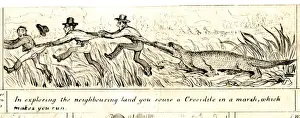 Emigration - Crocodile in the Marsh