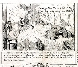Rats Gallery: Emigration - Fleas and Rats