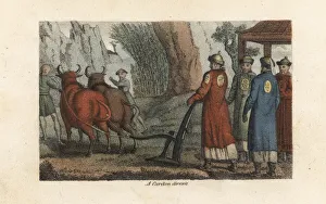 Oxen Gallery: The Emperor of China in a spring ritual called