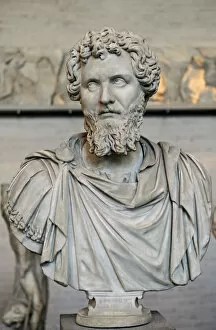 Augustus Gallery: Emperor Septemus Severus (193-211 AD). Bust
