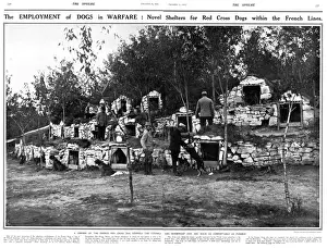 Shelters Prints: Employment of dogs in warfare, French Lines, WW1