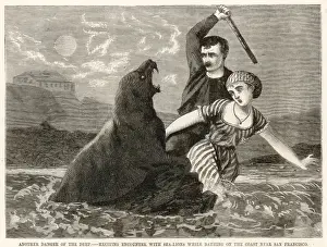 Snarling Prints: Encounter with a sea lion near San Francisco, USA