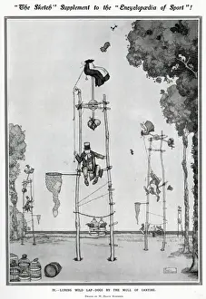 Encyclopaedia of Sport - Luring Wild Lap-Dogs